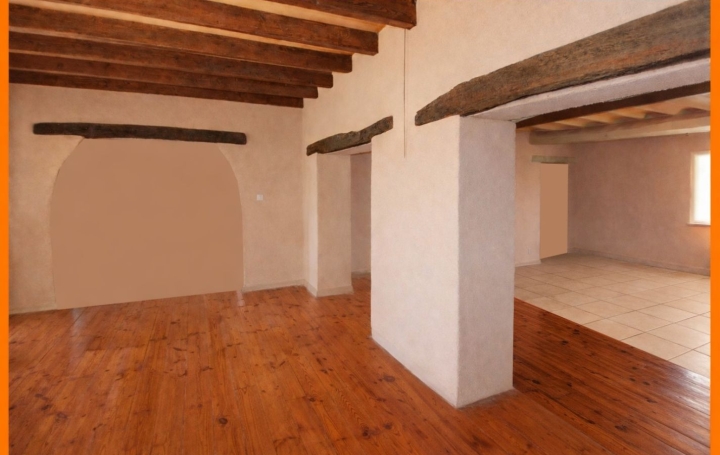 Maison de village PIZAY (01120)  180 m2 355 000 € 