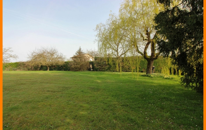 Terrain PIZAY (01120) 0 m<sup>2</sup> 140 000 € 