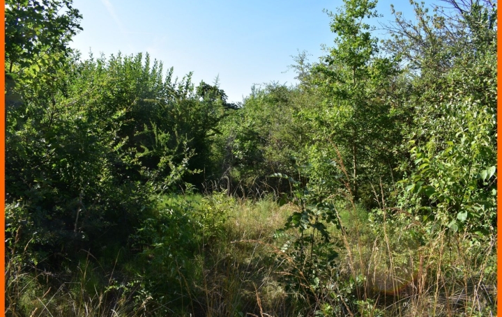 Terrain MONTLUEL (01120) 0 m<sup>2</sup> 179 000 € 