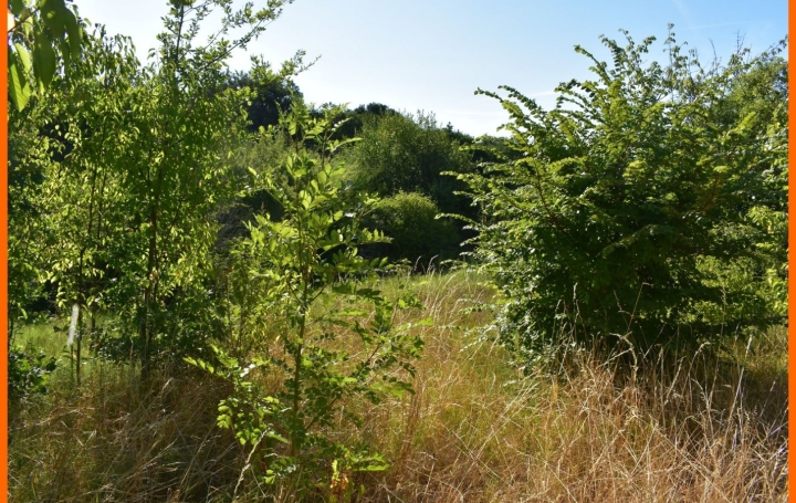 Terrain MONTLUEL (01120)   179 000 € 