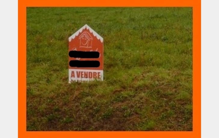 Réseau Immo-diffusion : Terrain  PEROUGES  4 000 m2 320 000 € 