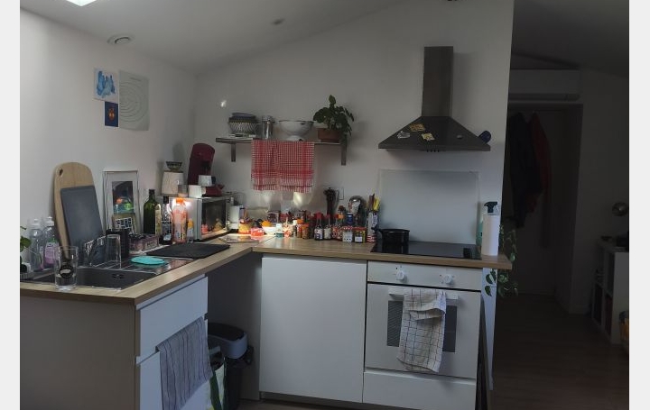 1 Pièce NIMES (30000)  21 m2 500 € 