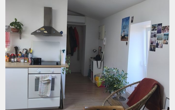 1 Pièce NIMES (30000)  21 m2 500 € 
