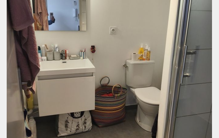 1 Pièce NIMES (30000)  21 m2 500 € 