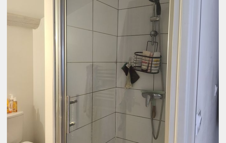 1 Pièce NIMES (30000)  21 m2 500 € 