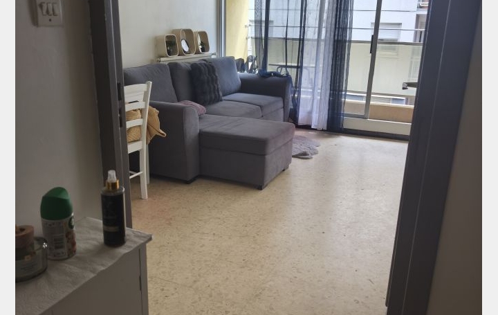1 Pièce NIMES (30000)  33 m2 455 € 