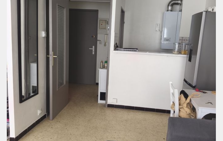 1 Pièce NIMES (30000)  33 m2 455 € 