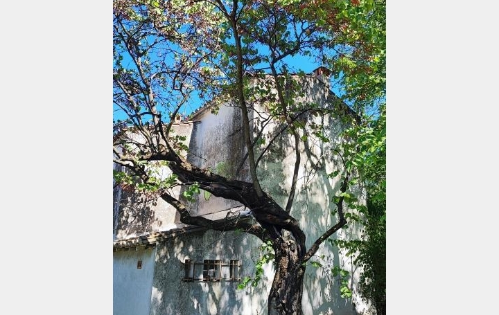 Terrain NIMES (30000)   490 000 € 