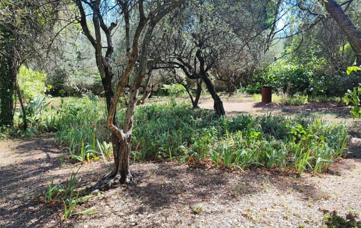 Terrain NIMES (30000) 0 m<sup>2</sup> 295 000 € 