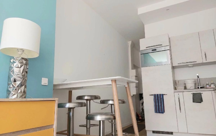 1 Pièce NICE (06300)   250 000 € 