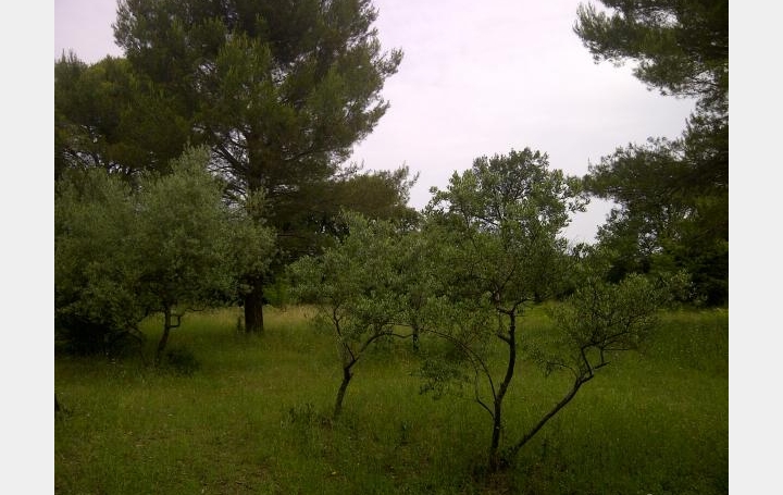 Réseau Immo-diffusion : Terrain  PLAN-D'ORGON   168 000 € 