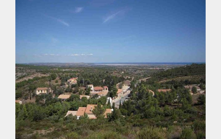 Réseau Immo-diffusion : Terrain  TREILLES   228 000 € 