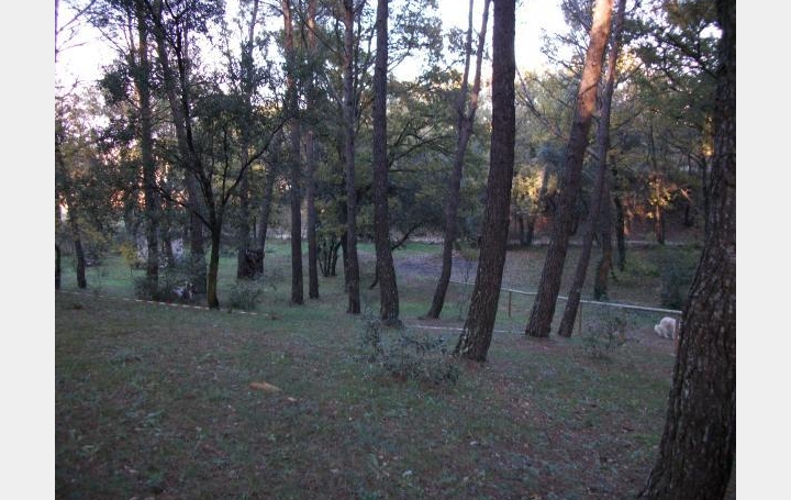 Réseau Immo-diffusion : Terrain  LA ROQUE-D'ANTHERON   265 000 € 