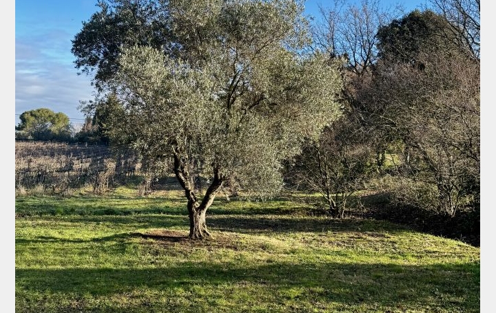 Maison VENELLES (13770)  136 m2 1 935 € 