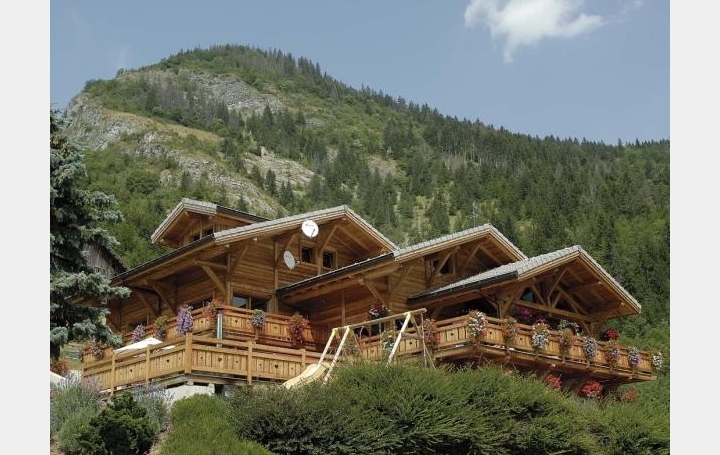 Réseau Immo-diffusion : Maison  CHATEL  300 m2 1 055 000 € 