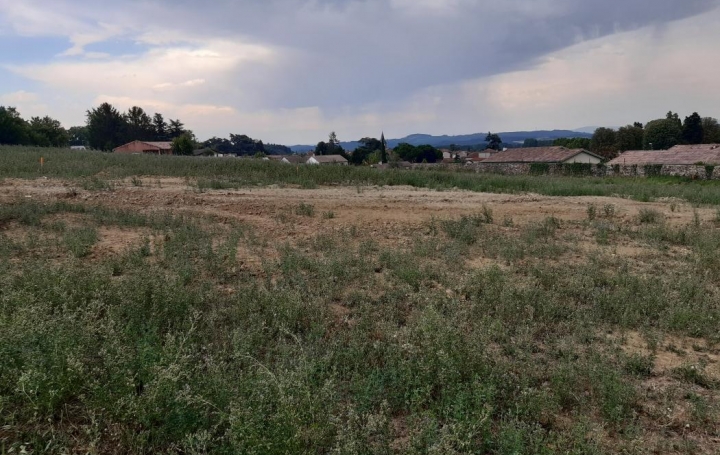 Réseau Immo-diffusion : Terrain  SAINT-UZE   69 000 € 