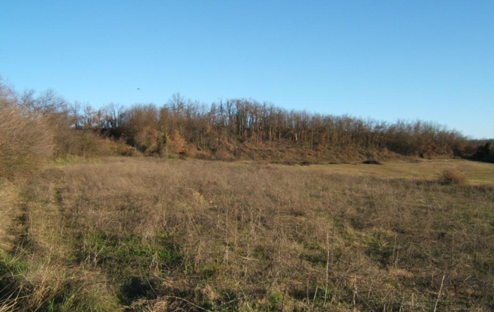 Réseau Immo-diffusion : Terrain  CLERIEUX   72 000 € 