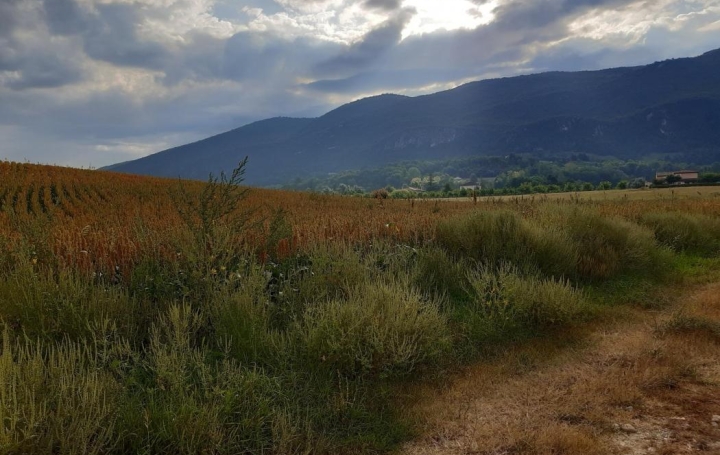 Réseau Immo-diffusion : Terrain  HOSTUN   91 000 € 