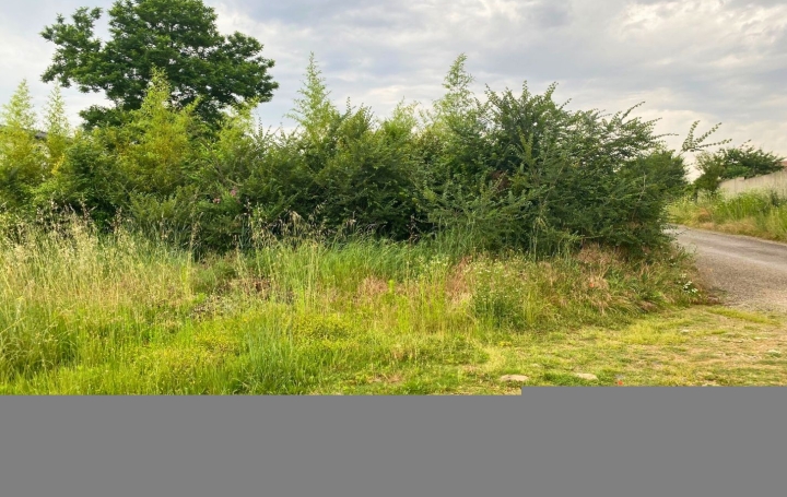 Terrain ROMANS-SUR-ISERE (26100)   95 000 € 
