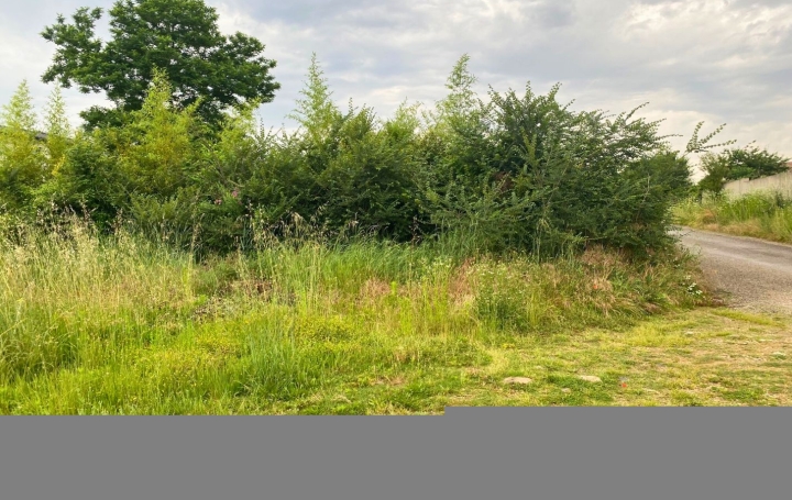 Terrain ROMANS-SUR-ISERE (26100)   95 000 € 