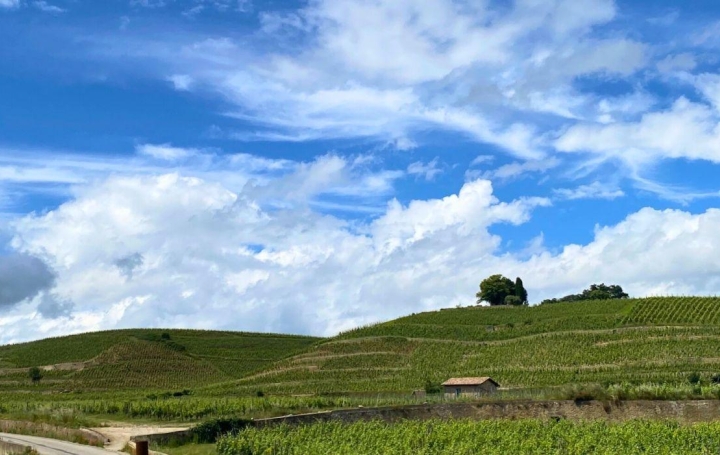 Terrain LARNAGE (26600)   110 000 € 