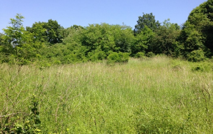 Réseau Immo-diffusion : Terrain  JAILLANS   96 000 € 