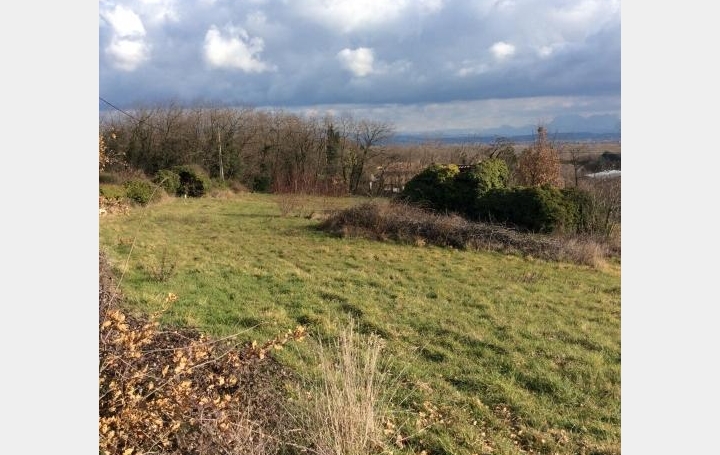 Réseau Immo-diffusion : Terrain  LA VOULTE-SUR-RHONE   61 000 € 