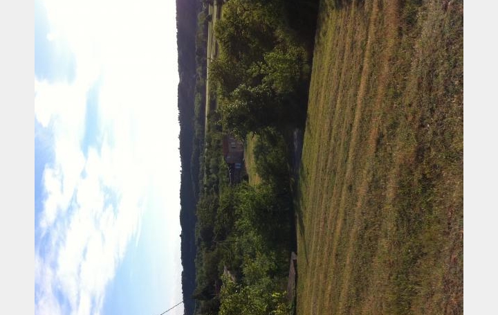 Réseau Immo-diffusion : Terrain  PEYRINS  120 m2 270 000 € 