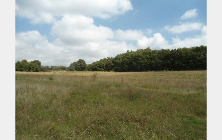 Réseau Immo-diffusion : Maison  CLERIEUX  85 m2 189 000 € 