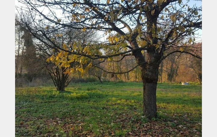 Réseau Immo-diffusion : Terrain  EYMEUX   55 000 € 