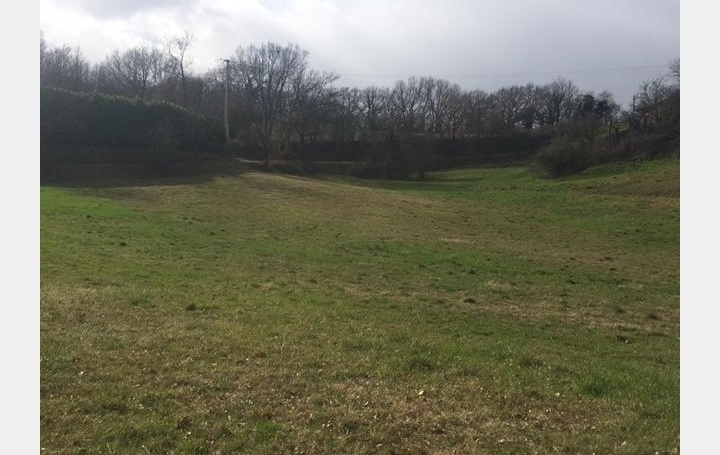 Réseau Immo-diffusion : Terrain  SAINT-BARTHELEMY-DE-VALS   55 000 € 