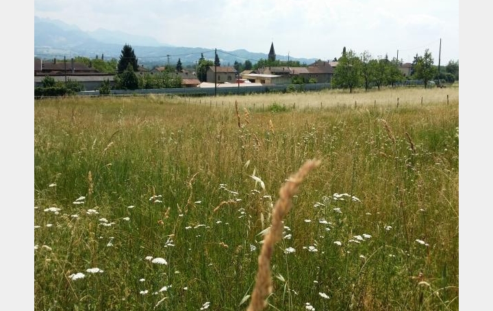 Réseau Immo-diffusion : Terrain  SAINT-PAUL-LES-ROMANS   46 000 € 