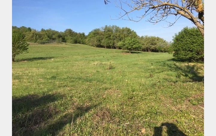 Réseau Immo-diffusion : Terrain  MONTELEGER   185 000 € 
