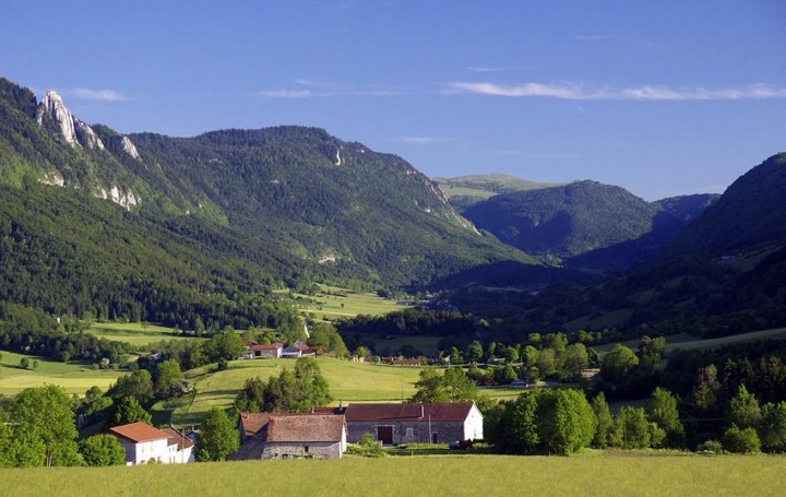 Réseau Immo-diffusion : Terrain  SAINT-AGNAN-EN-VERCORS   50 000 € 
