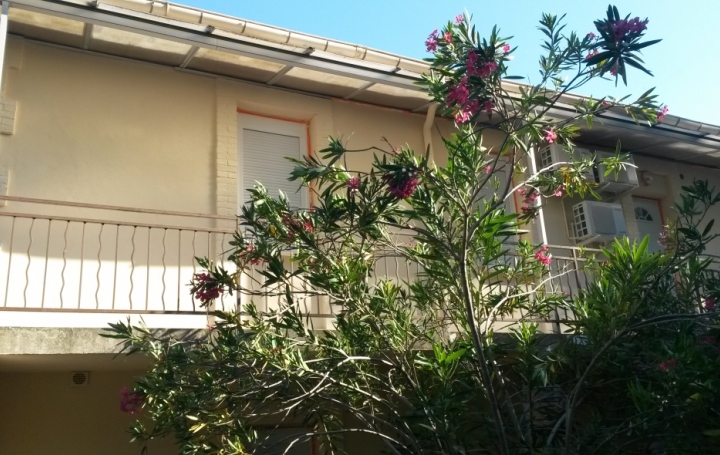 3 Pièces ALLEGRE-LES-FUMADES (30500)  70 m2 585 € 