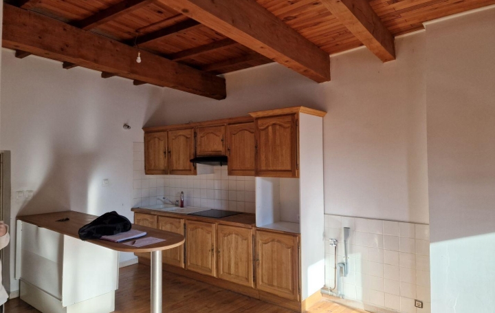 Réseau Immo-diffusion : Appartement P3  SAINT-HILAIRE-DE-BRETHMAS  110 m2 490 € 