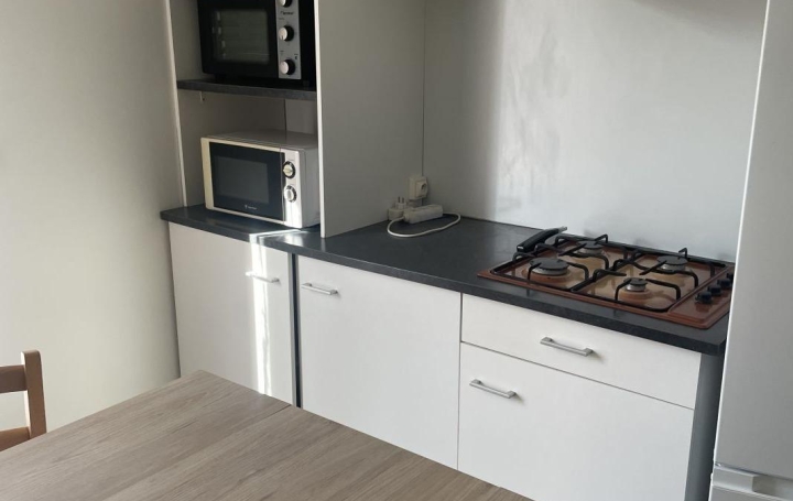 Studio SAINT-FLORENT-SUR-AUZONNET (30960)  57 m2 560 € 