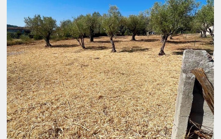 Terrain LES MAGES (30960)  990 m2 81 400 € 
