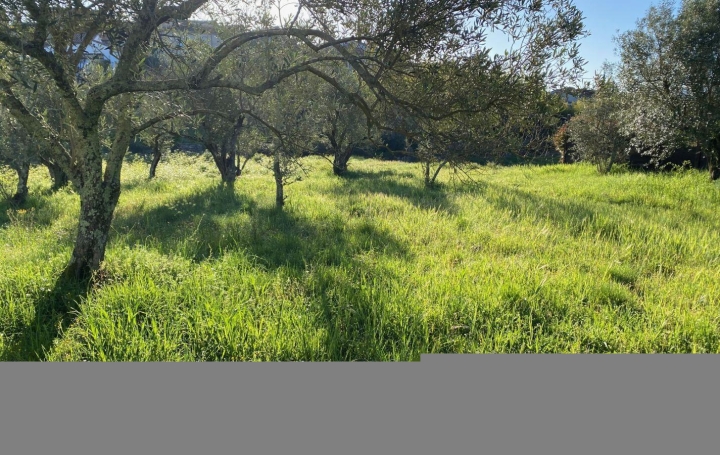 Terrain LES MAGES (30960)  990 m2 81 400 € 