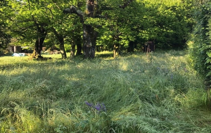 Terrain SAINT-FLORENT-SUR-AUZONNET (30960)   47 000 € 