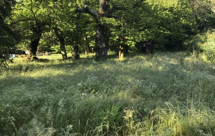 Terrain SAINT-FLORENT-SUR-AUZONNET (30960)   47 000 € 