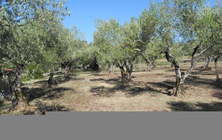 Maison SAINT-JULIEN-DE-CASSAGNAS (30500)  200 m2 399 000 € 