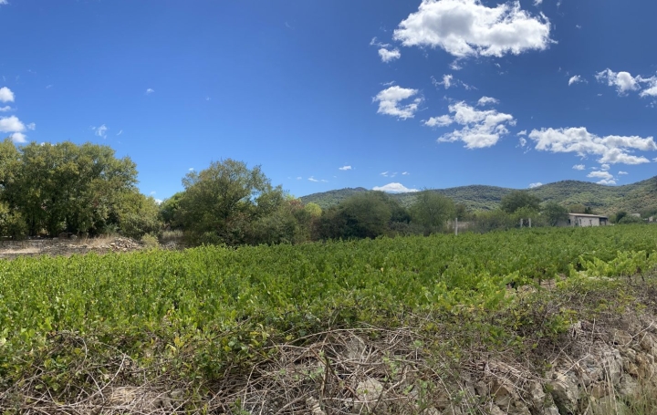 Maison SAINT-ANDRE-DE-CRUZIERES (07460)  154 m2 595 650 € 