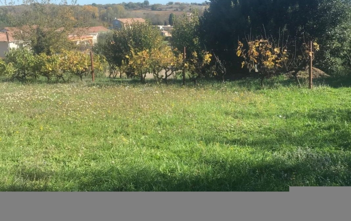 Maison SAINT-VICTOR-DE-MALCAP (30500)  200 m2 236 000 € 