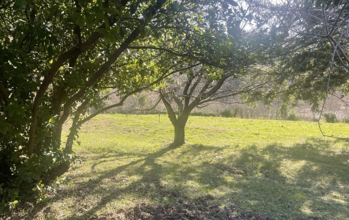 Maison PEYREMALE (30160)  110 m2 230 000 € 