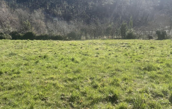 Maison PEYREMALE (30160)  110 m2 230 000 € 