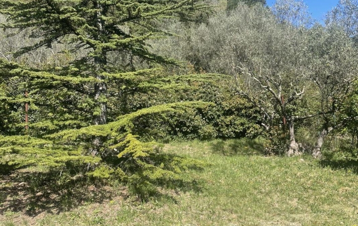 Maison LES MAGES (30960)  68 m2 183 000 € 