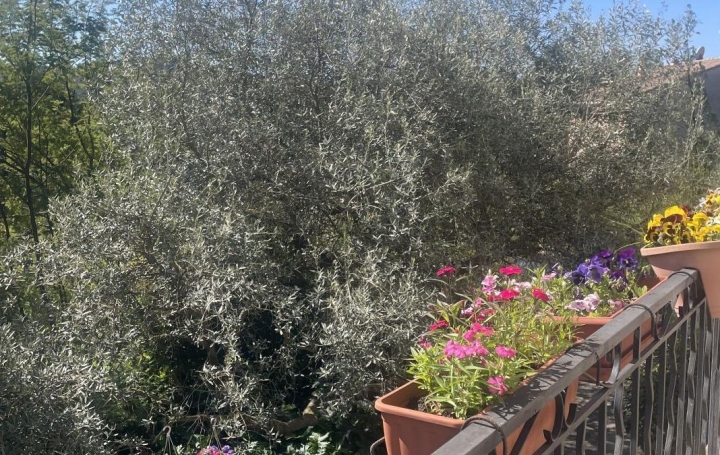 Maison LES MAGES (30960)  68 m2 183 000 € 