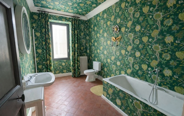 Maison SAINT-JEAN-DE-MARUEJOLS-ET-AVEJAN (30430)  249 m2 336 900 € 