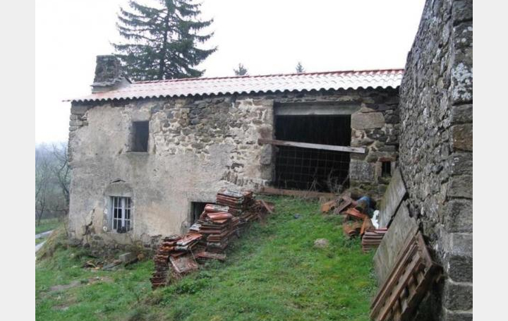 Réseau Immo-diffusion : Maison  SAINT-ALBAN-EN-MONTAGNE  70 m2 31 000 € 